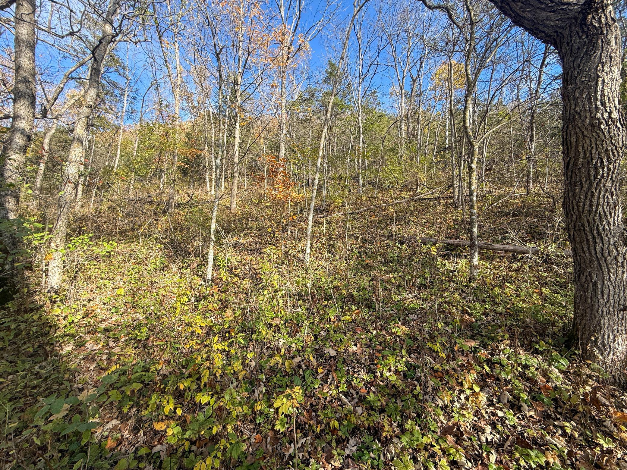 main property photo 33
