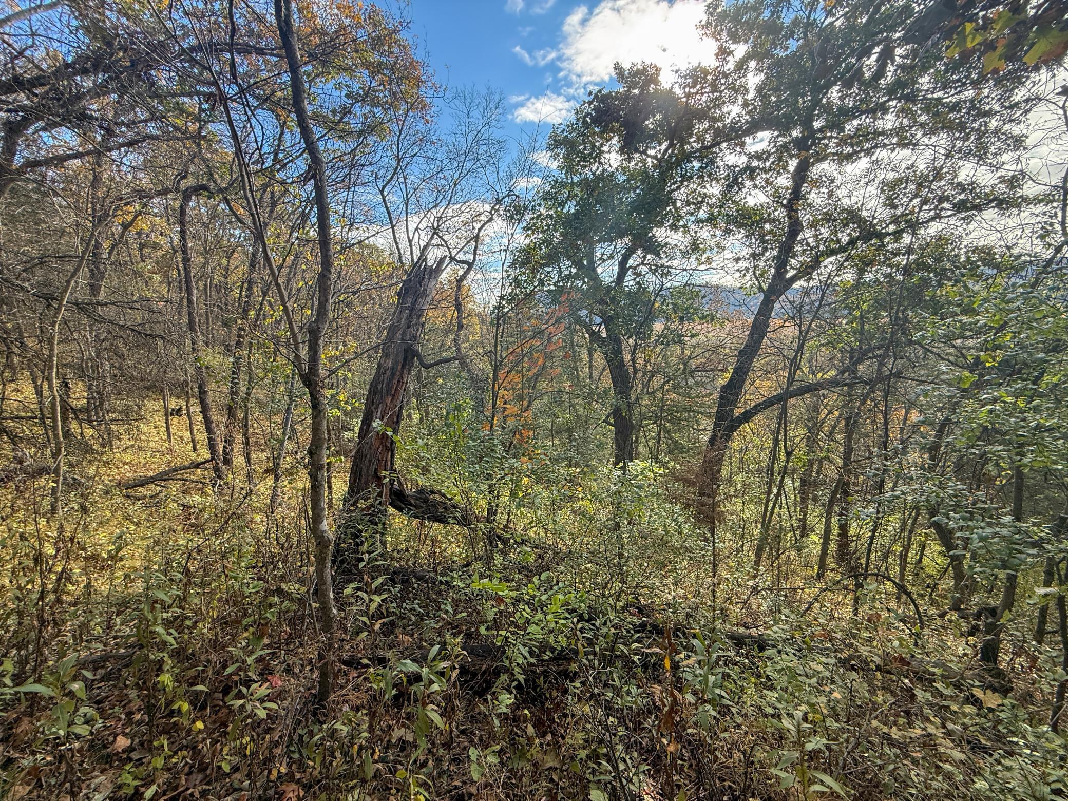 main property photo 36