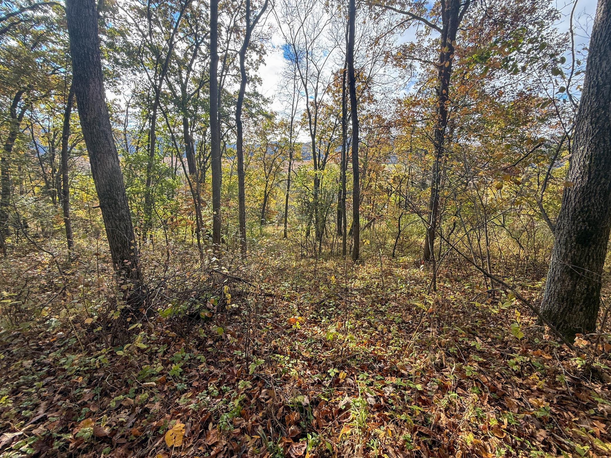main property photo 38