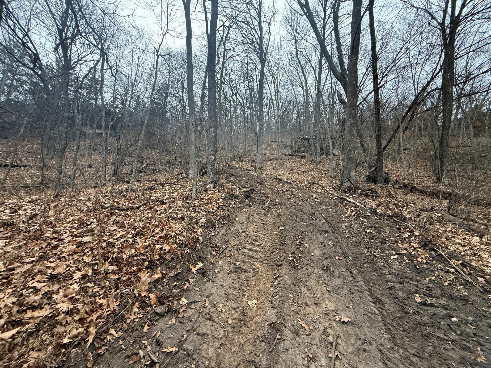 main property photo 9