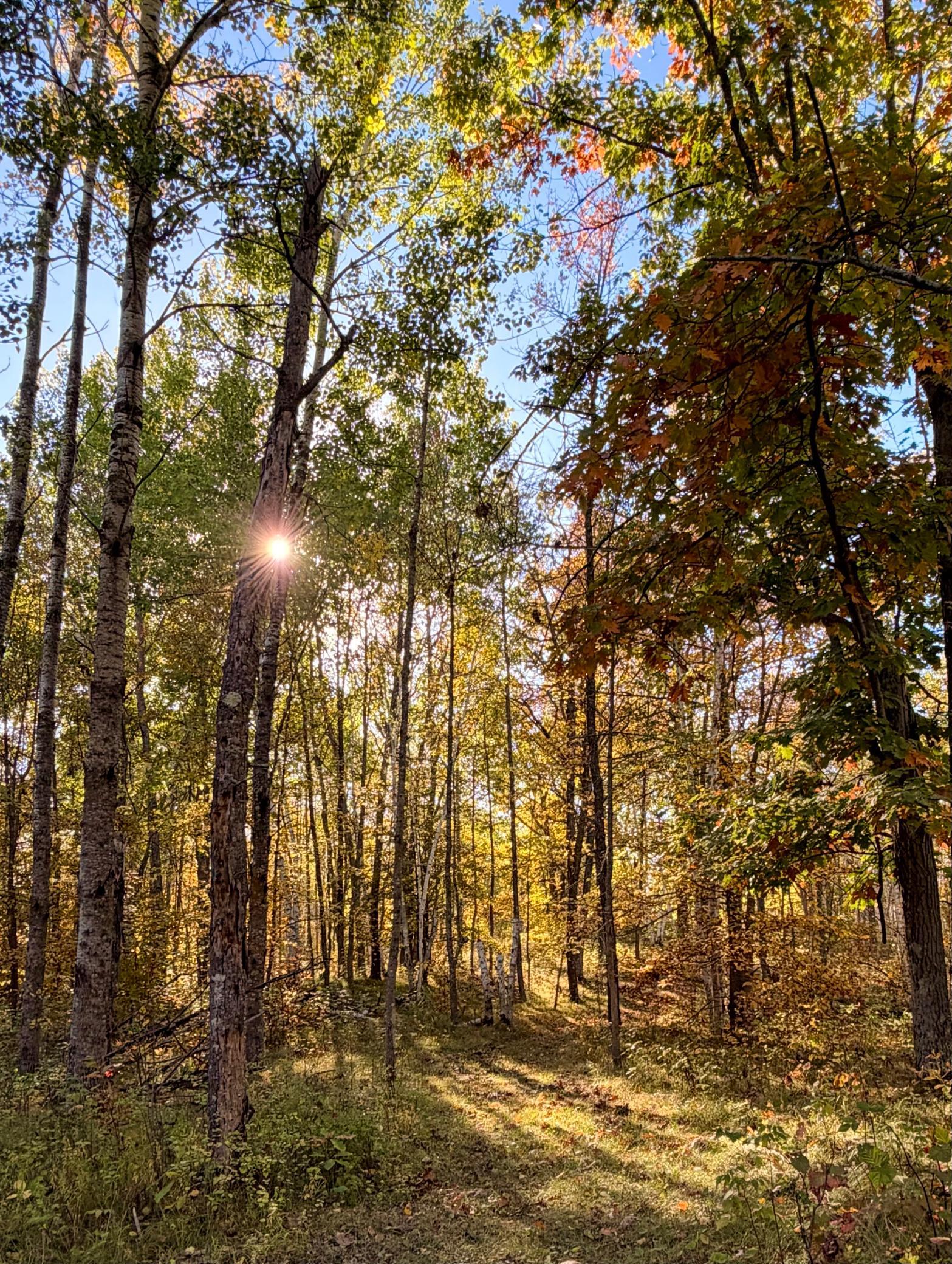 main property photo 60