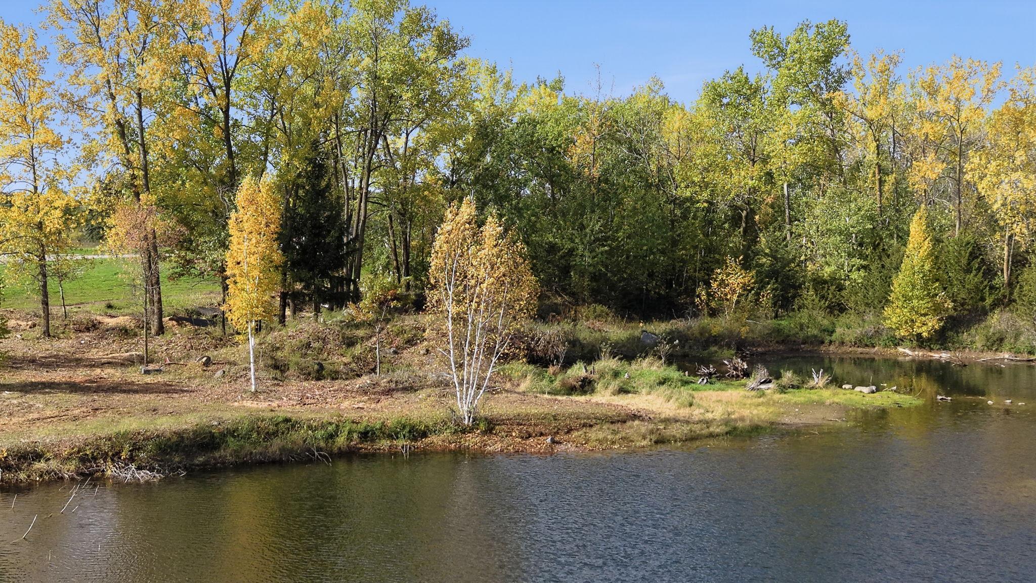 main property photo 15