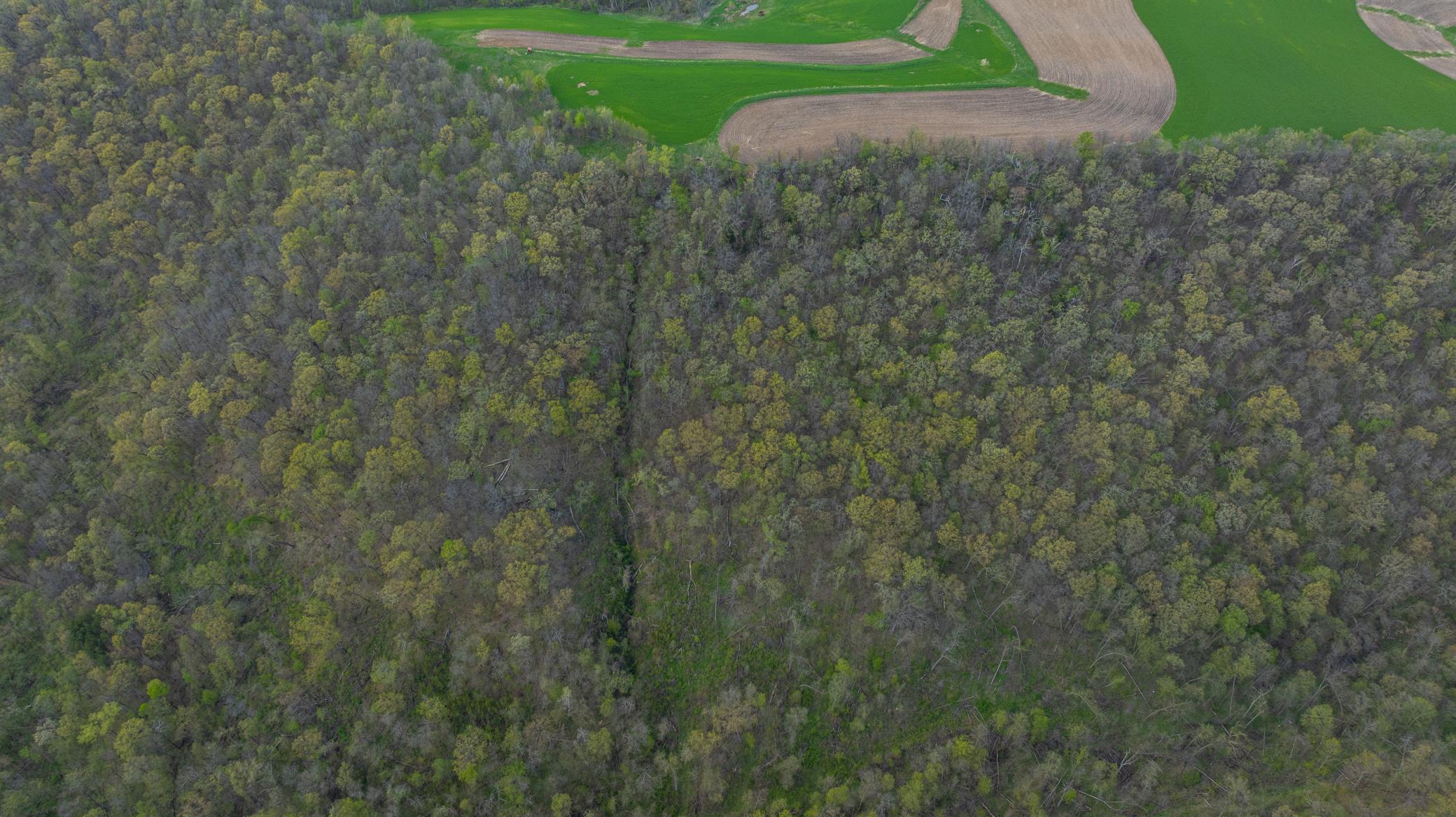 main property photo 84