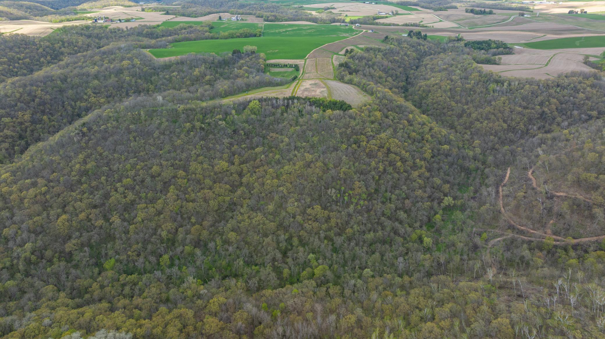 main property photo 99