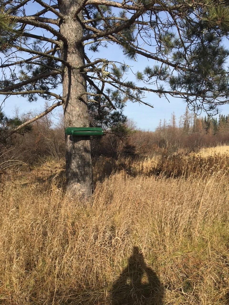 main property photo 9