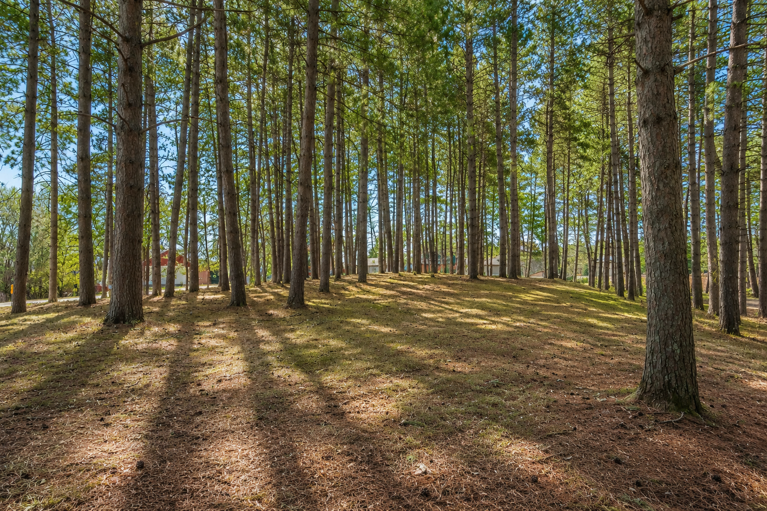 main property photo 42