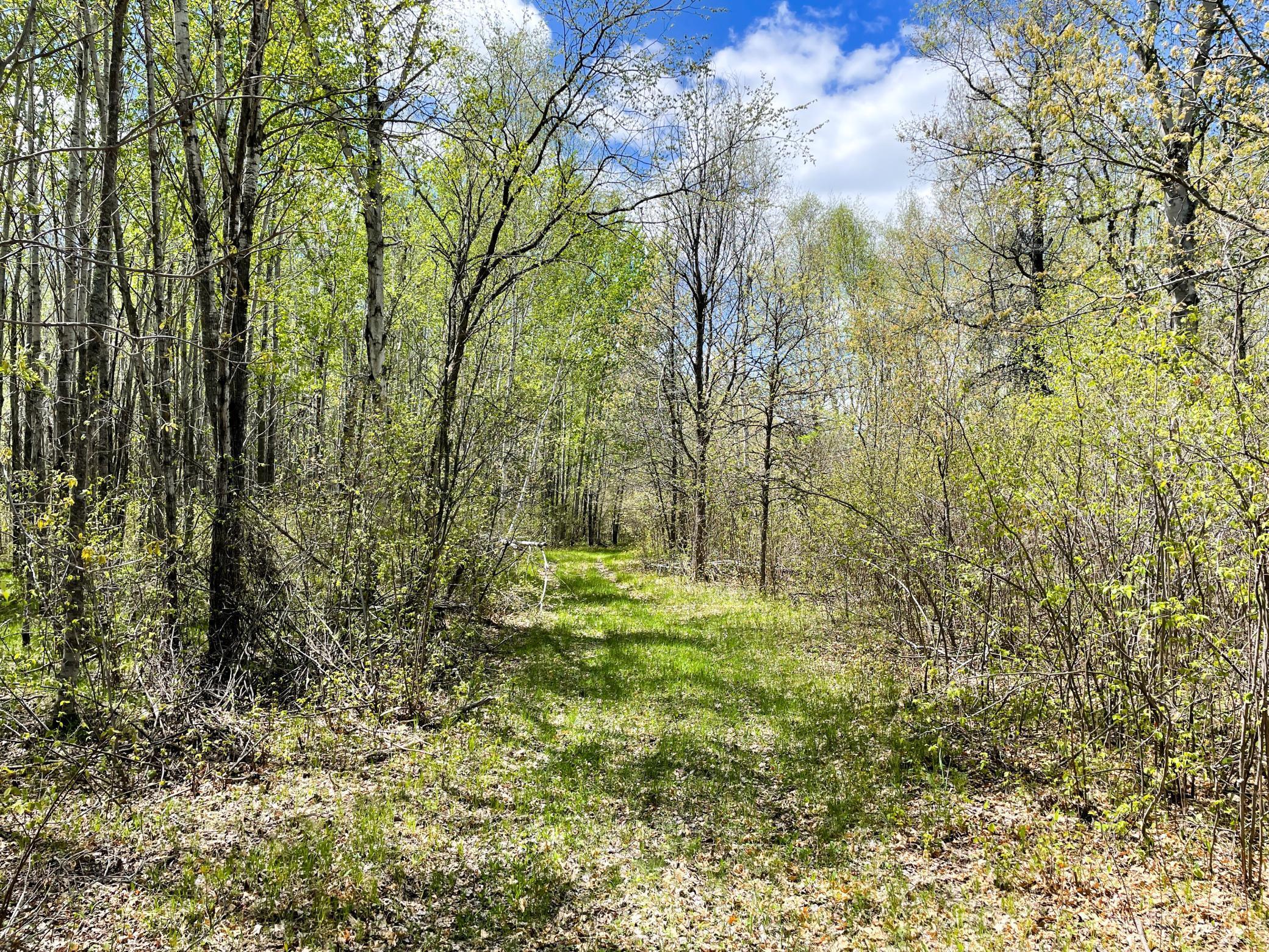 main property photo 24