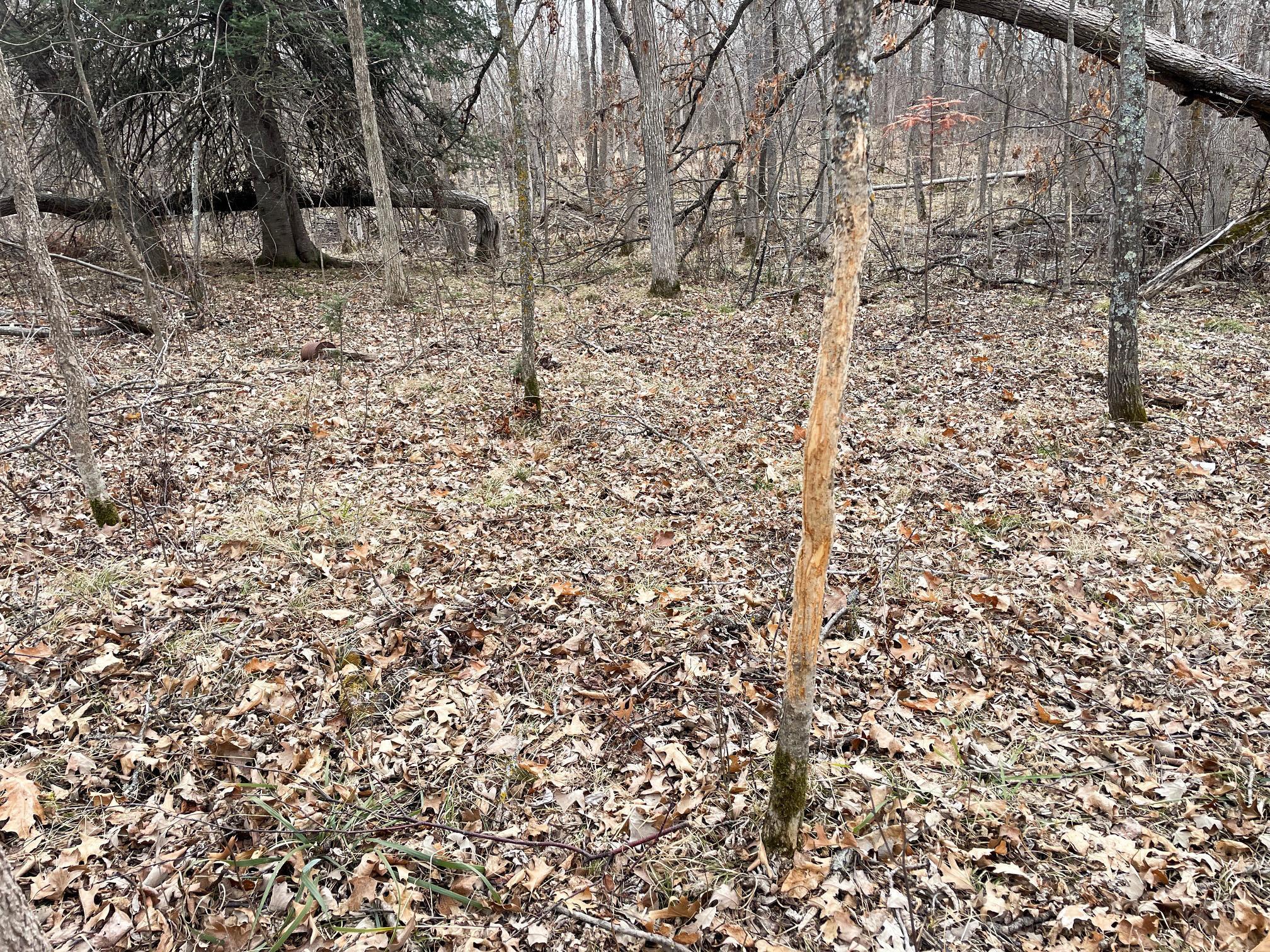 main property photo 49