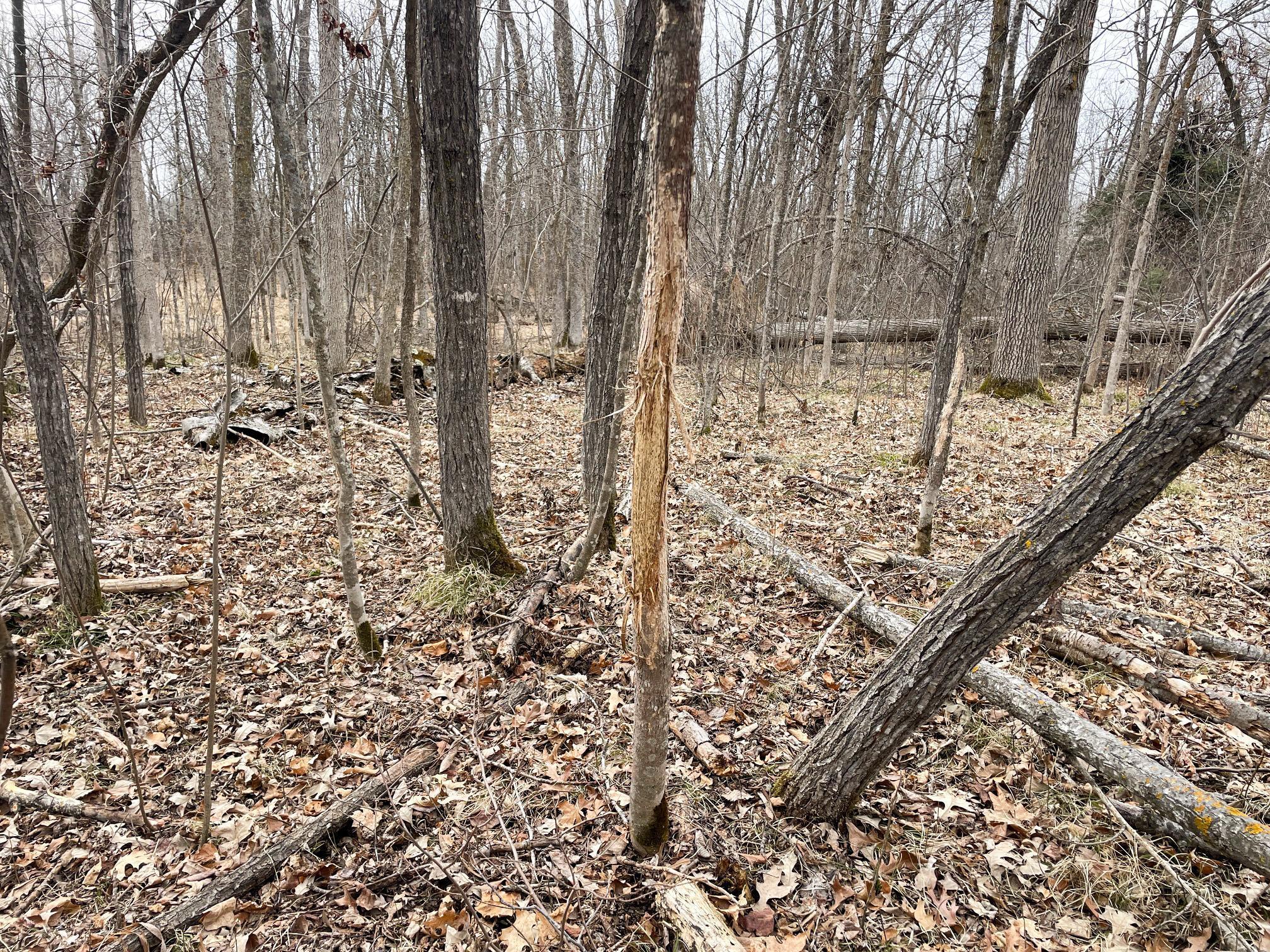 main property photo 51