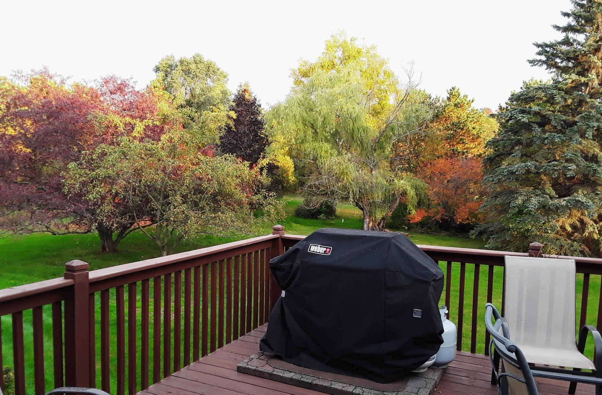main property photo 41