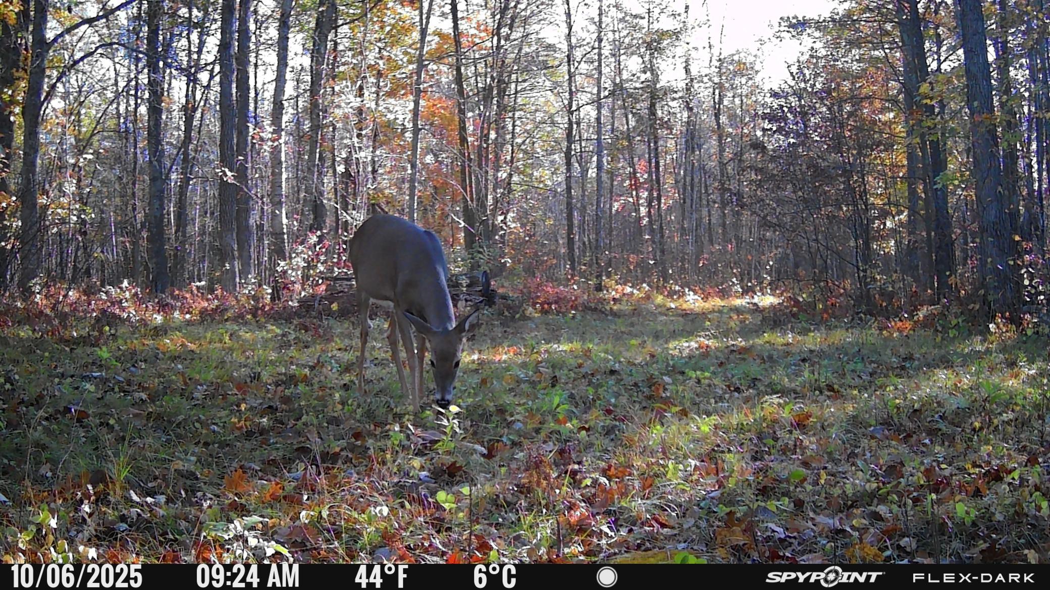 main property photo 32