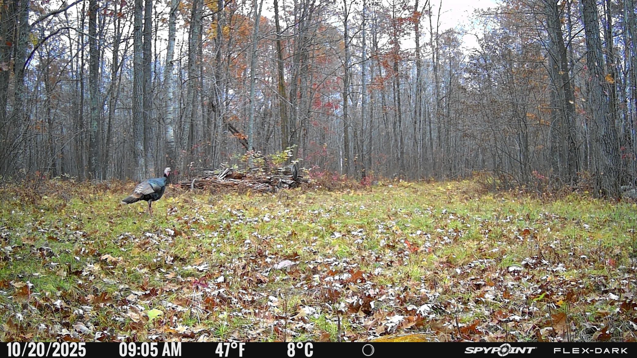 main property photo 42