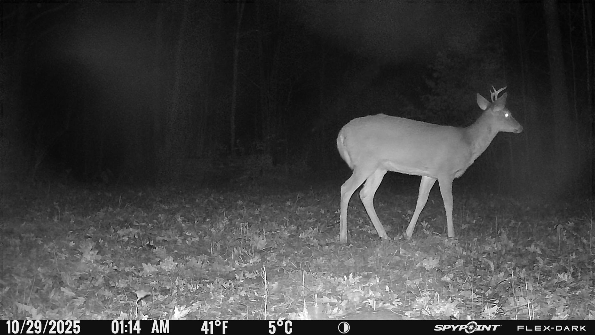 main property photo 40