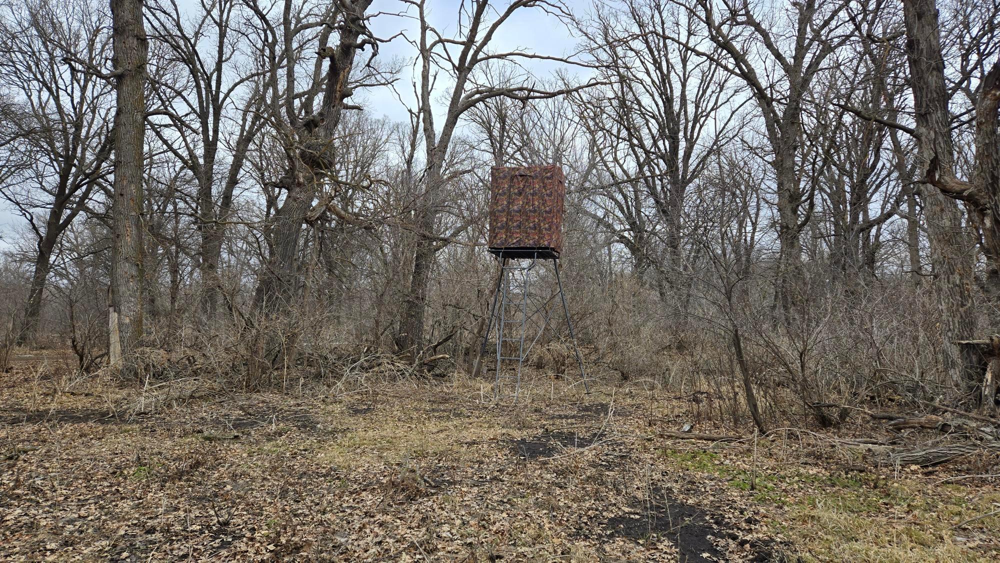 main property photo 58