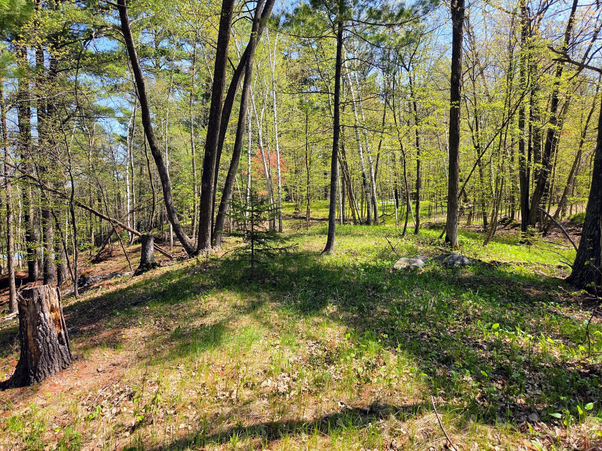 main property photo 50