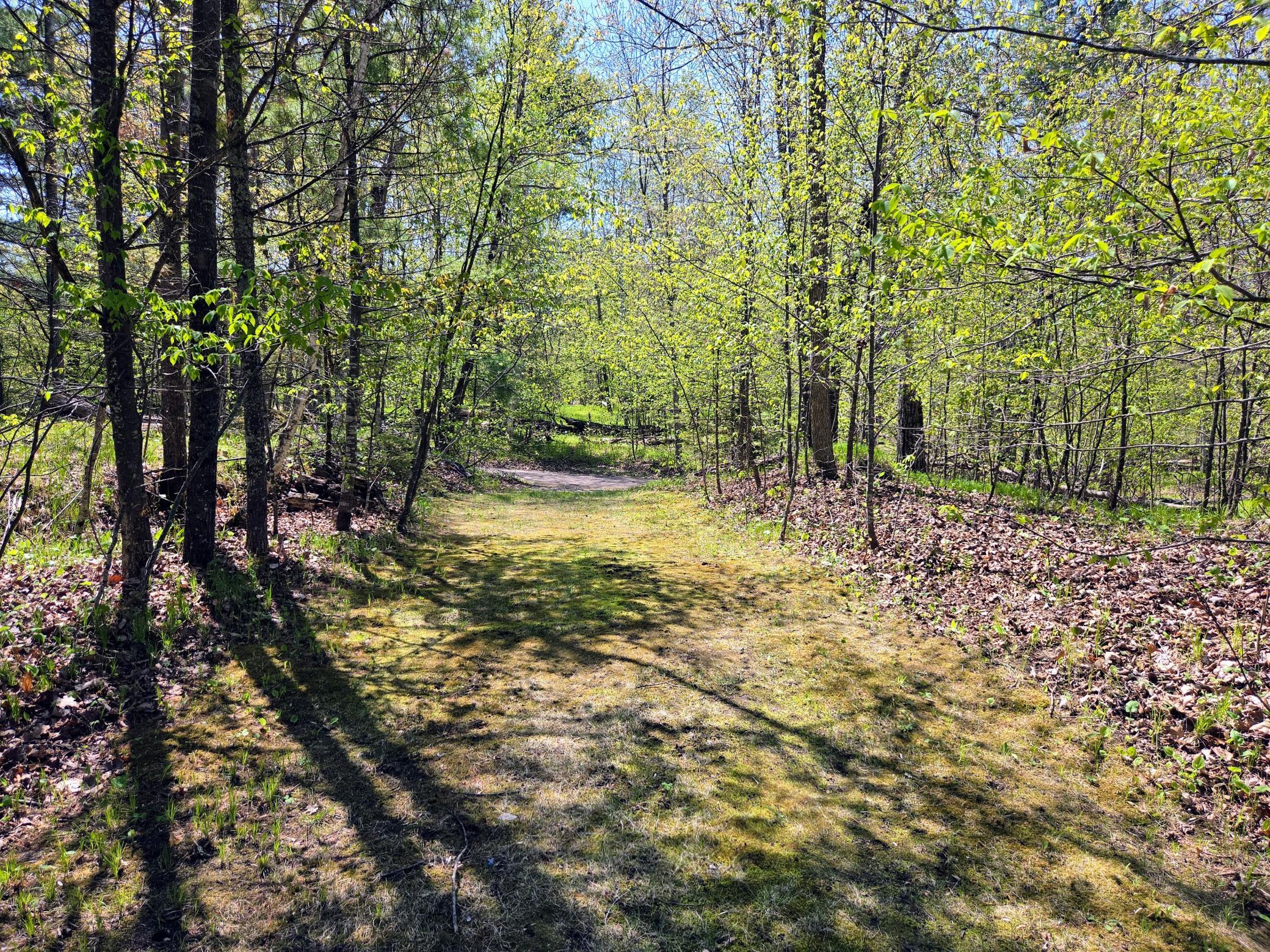 main property photo 51