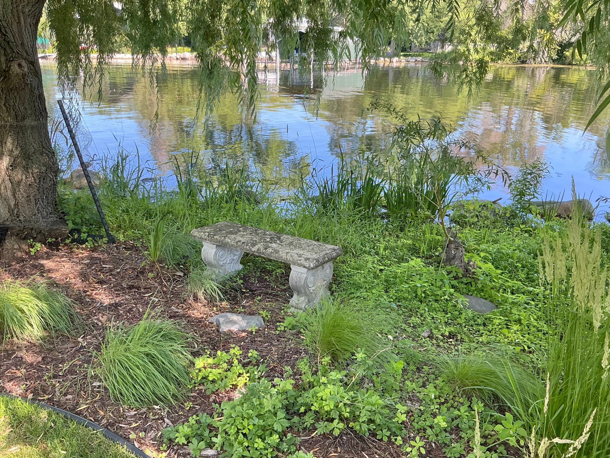 main property photo 30