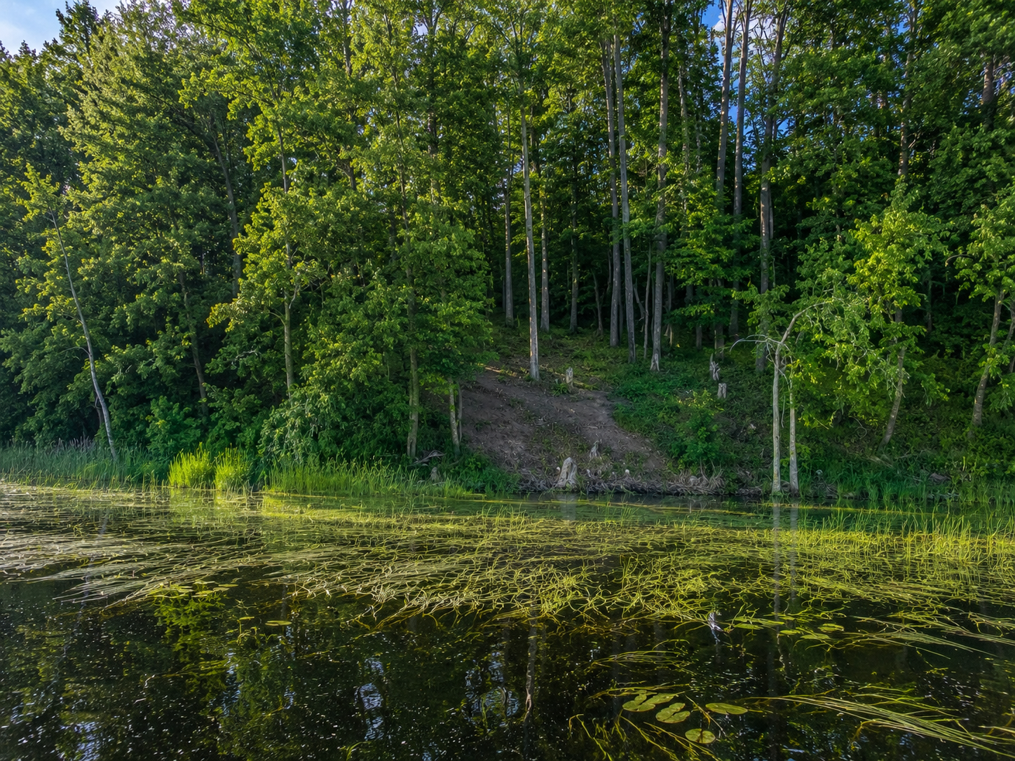 main property photo 43