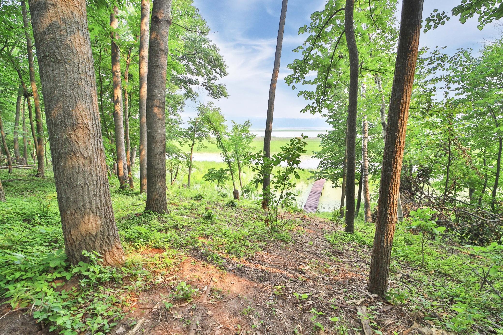 main property photo 47