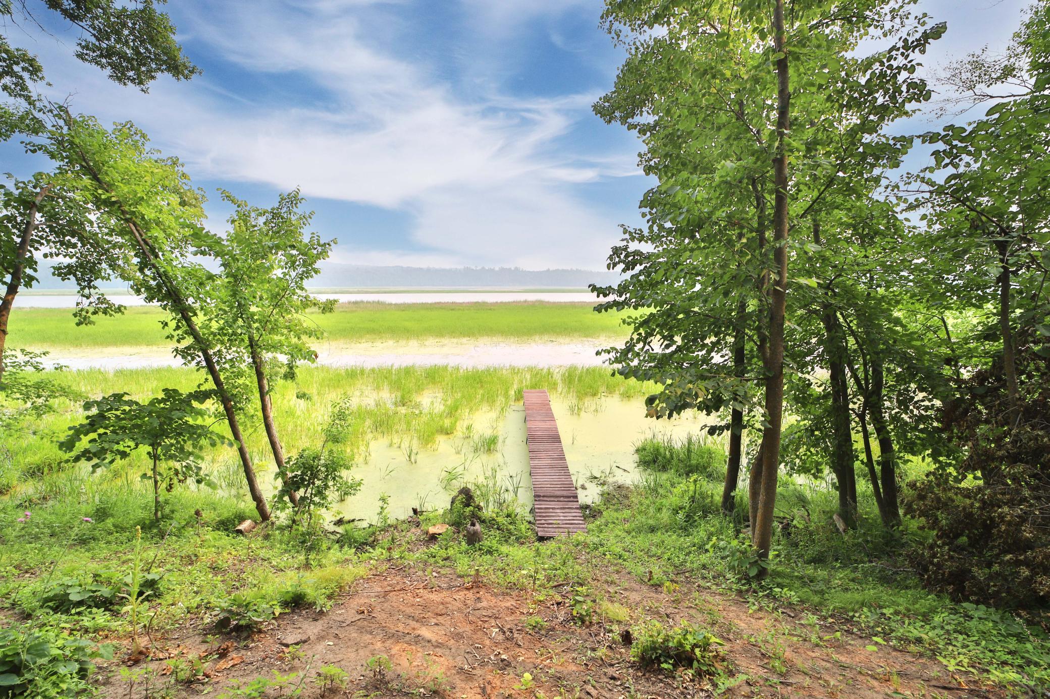 main property photo 48