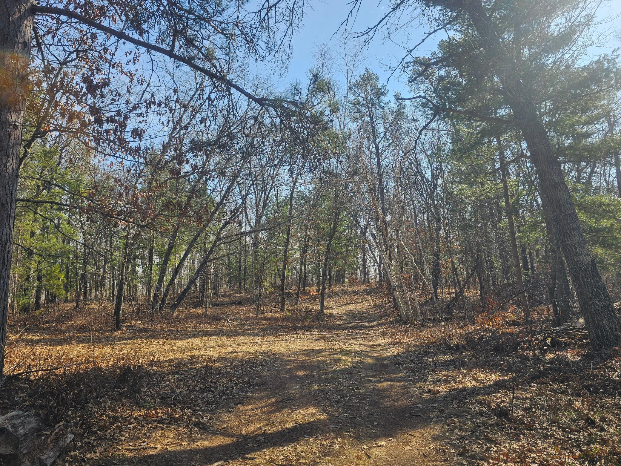 main property photo 26