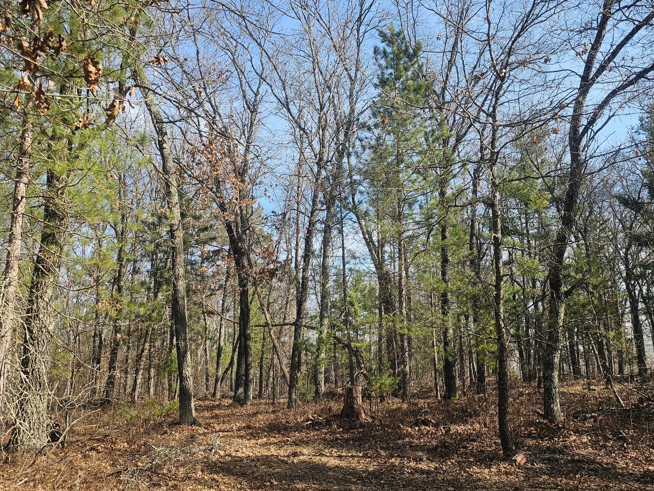 main property photo 28