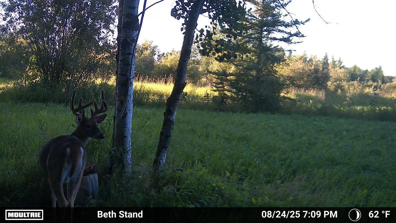 main property photo 25