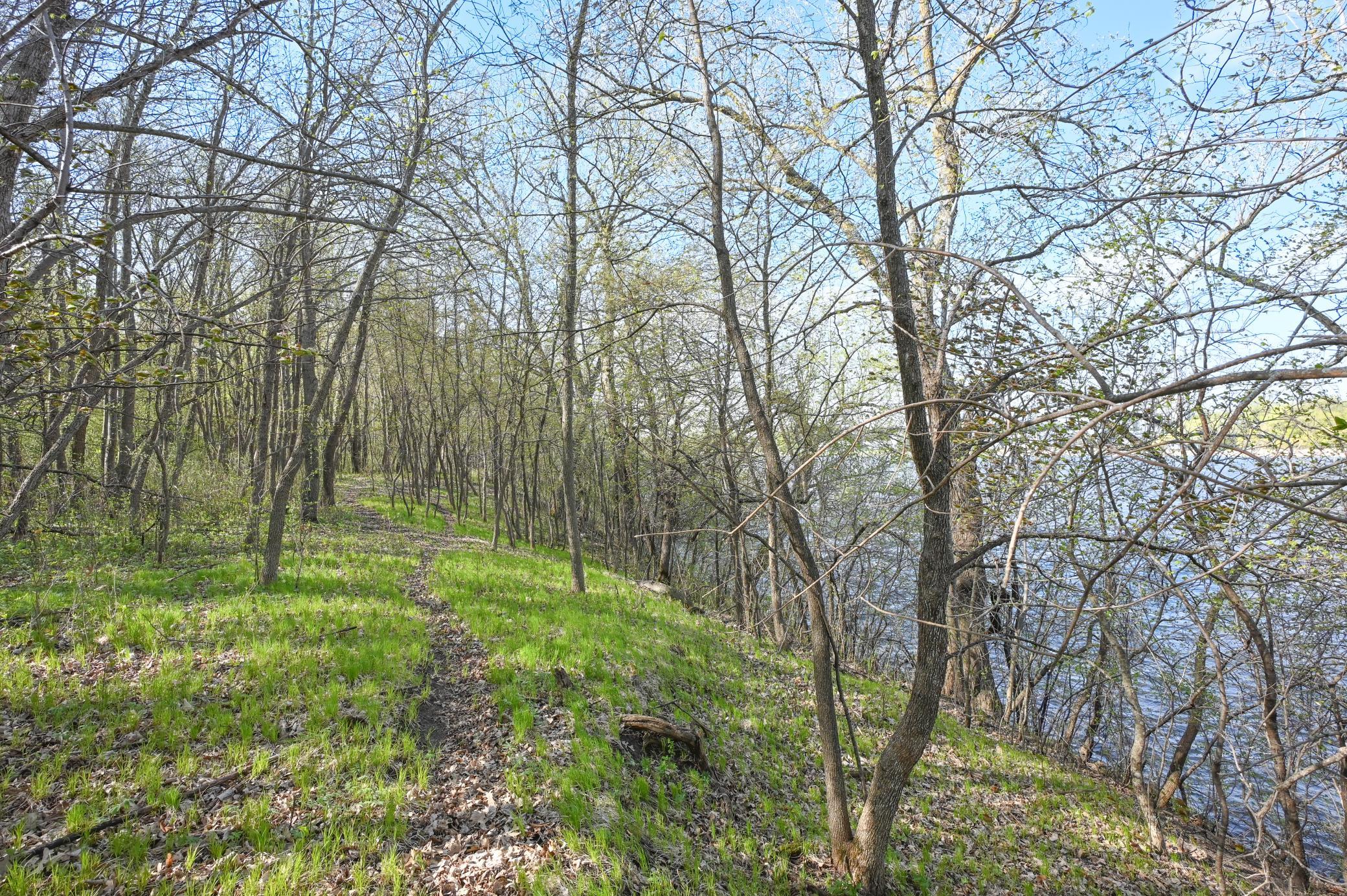 main property photo 9