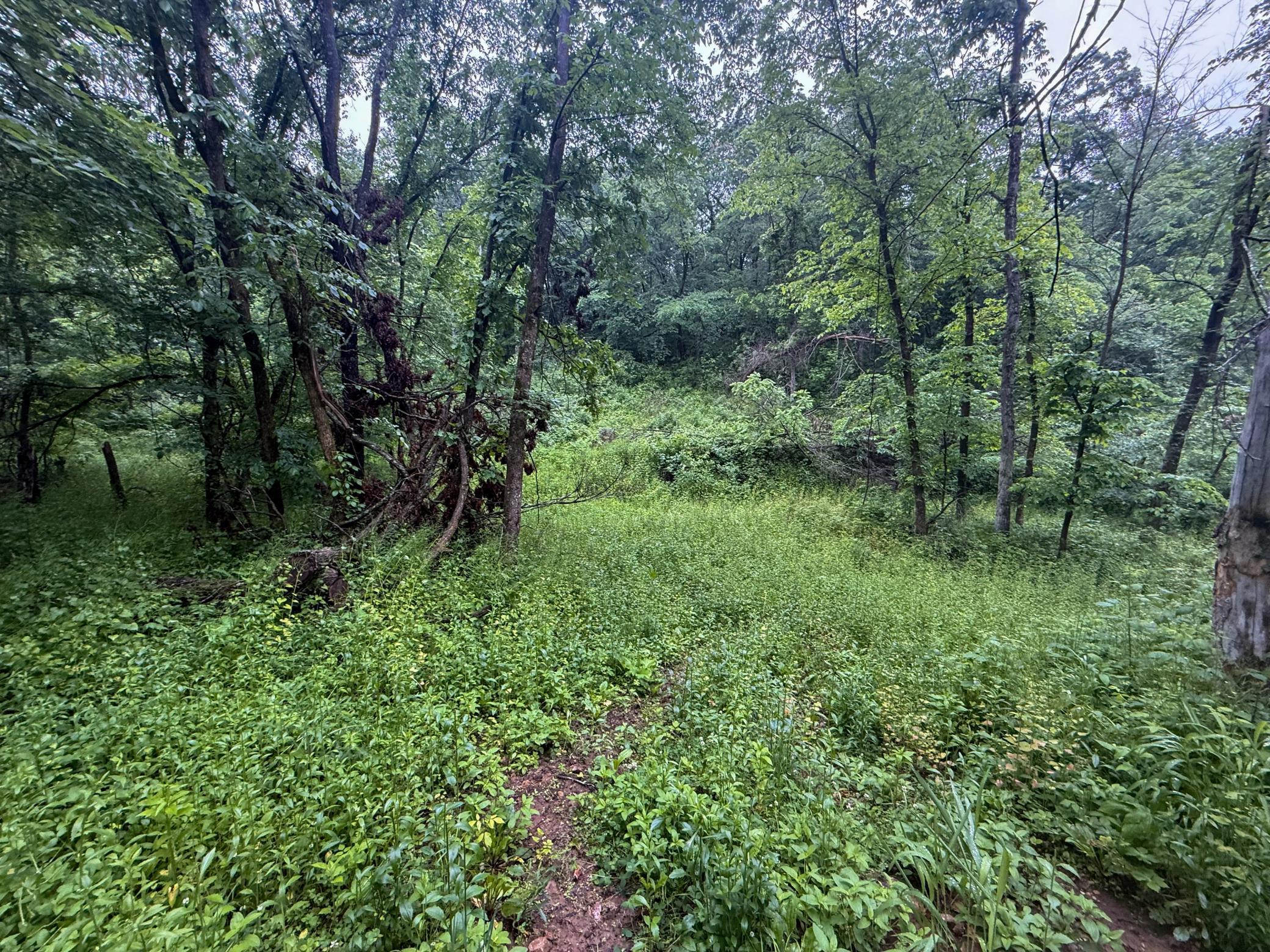 main property photo 51
