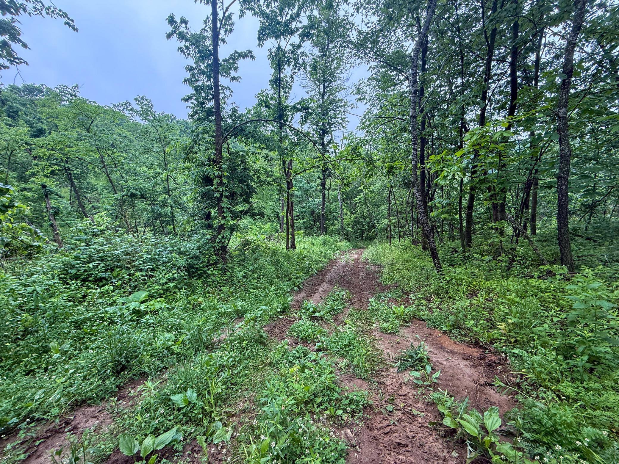 main property photo 58