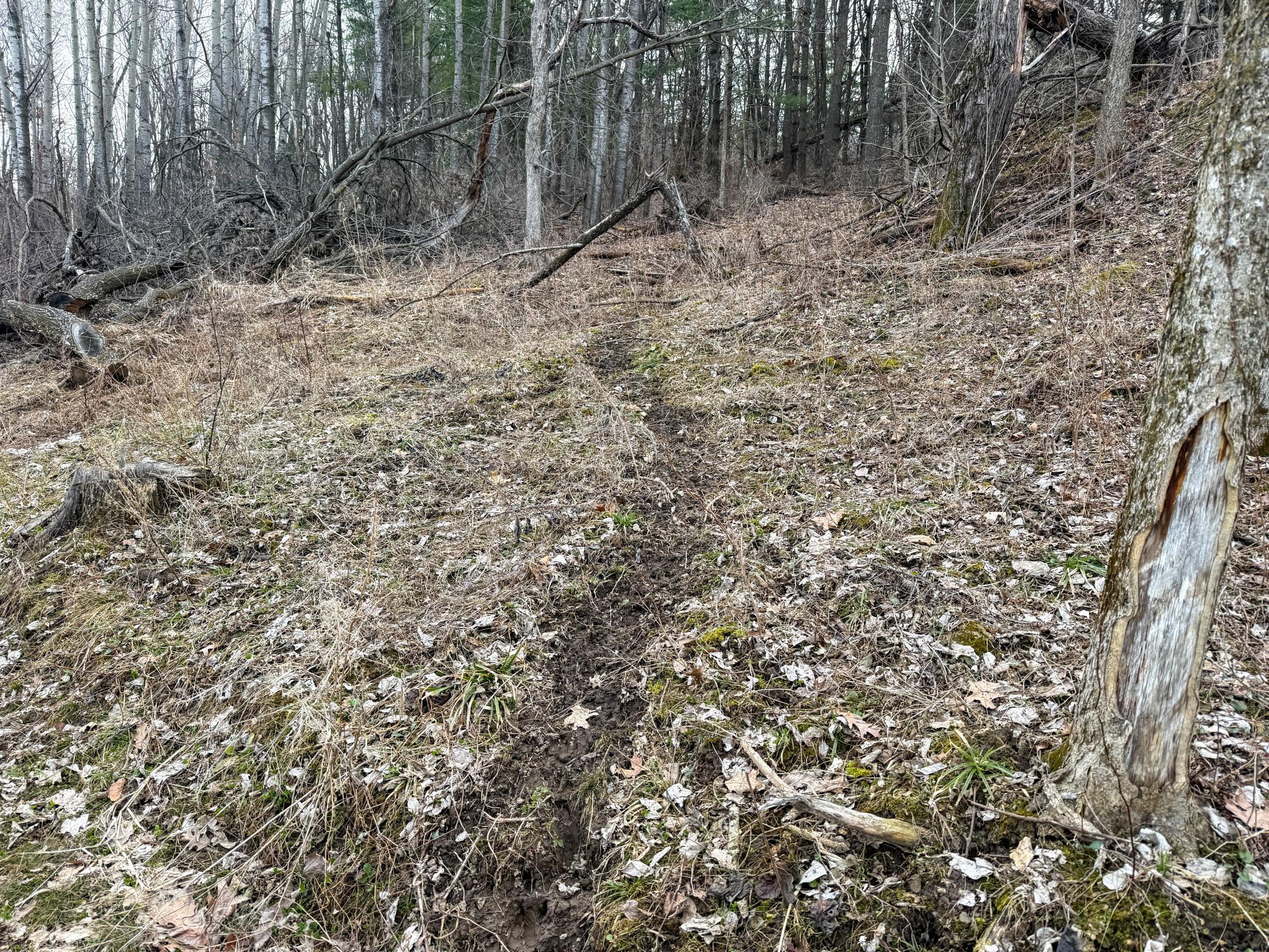 main property photo 77
