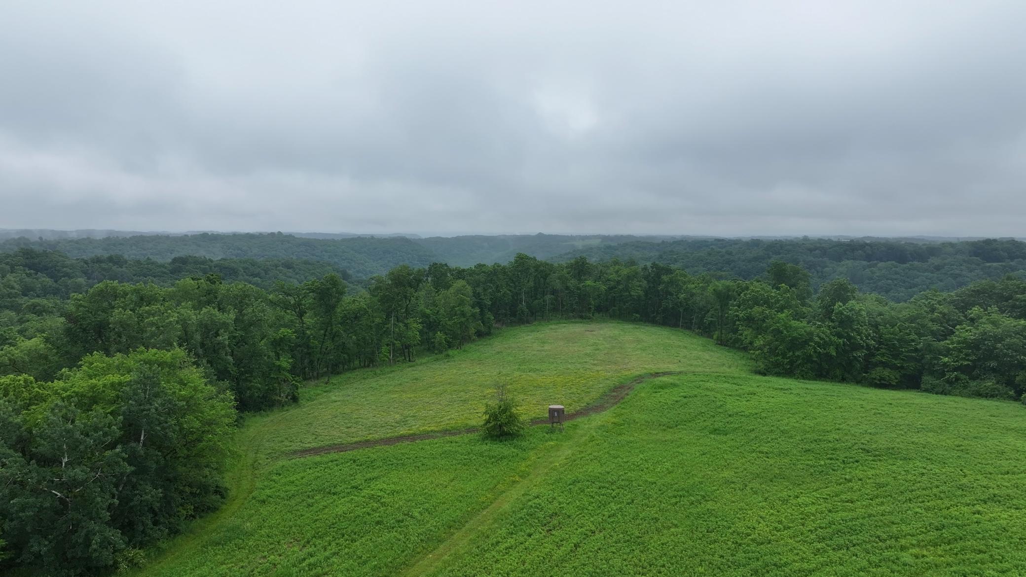 main property photo 88