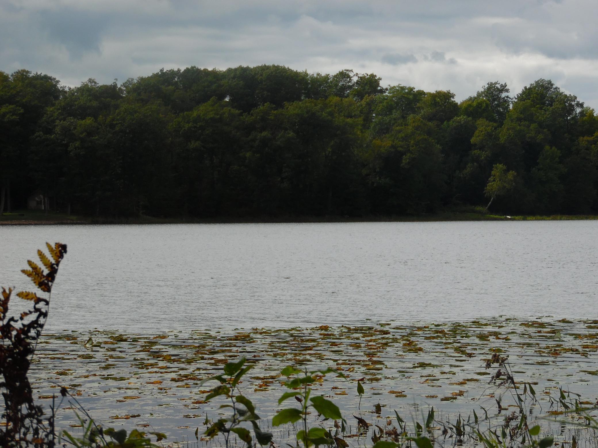 main property photo 17