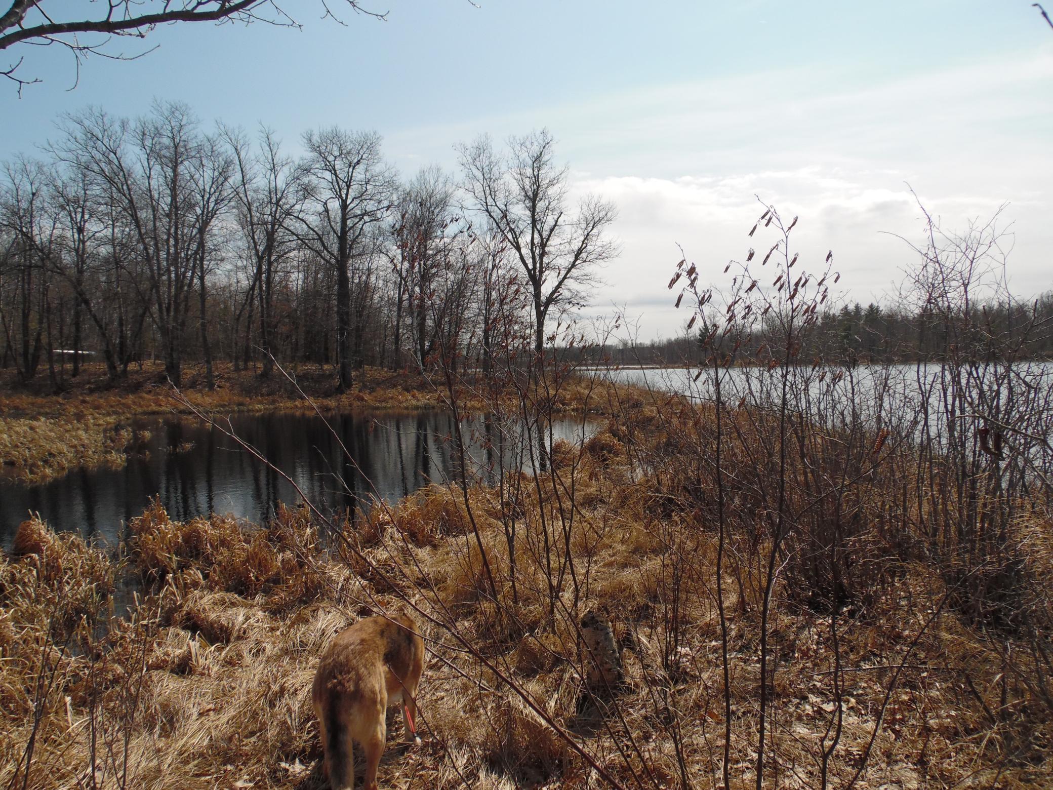 main property photo 25