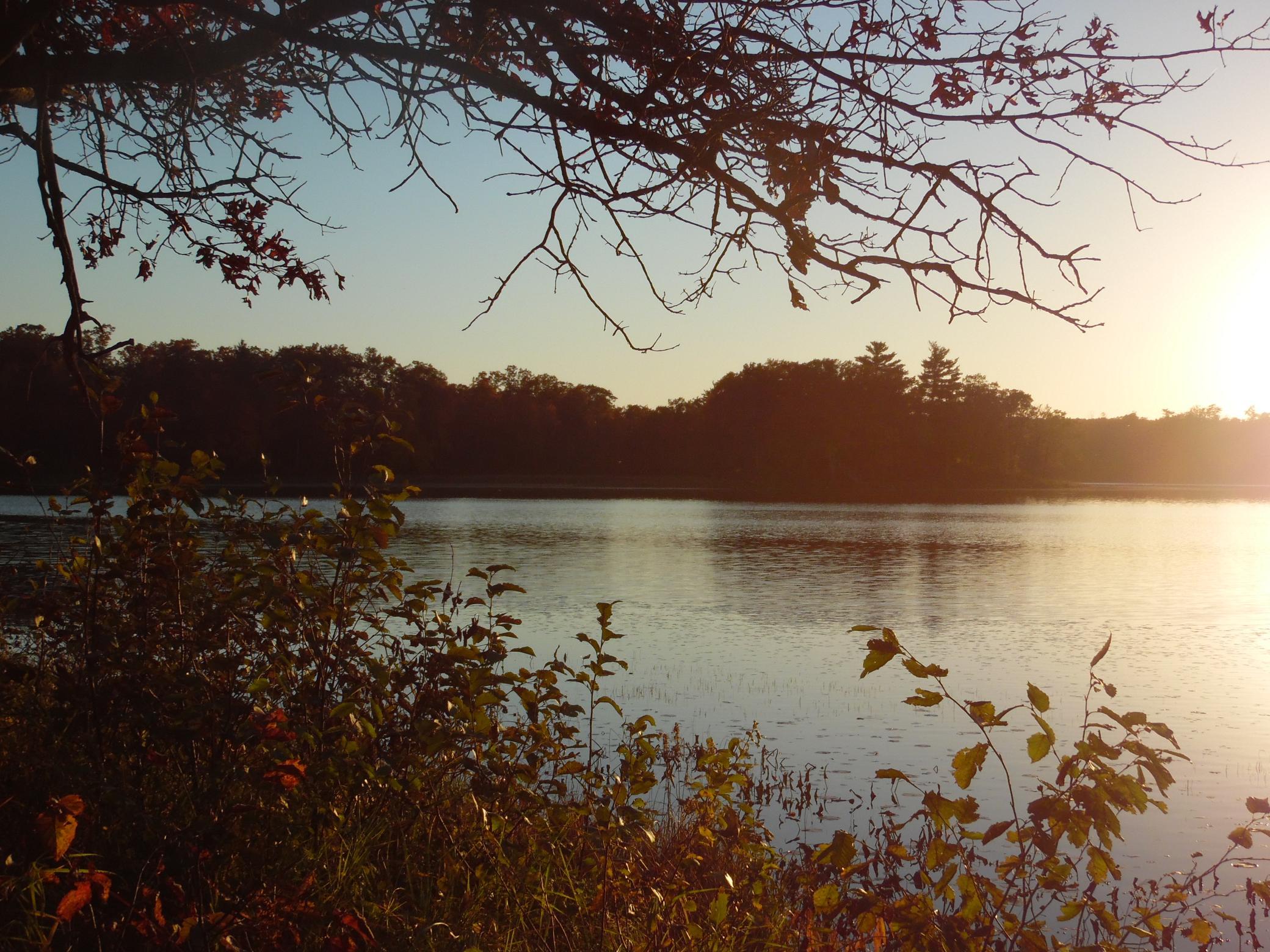 main property photo 26