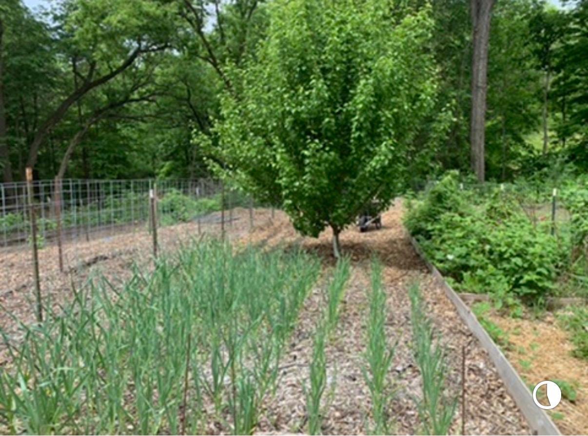 main property photo 80