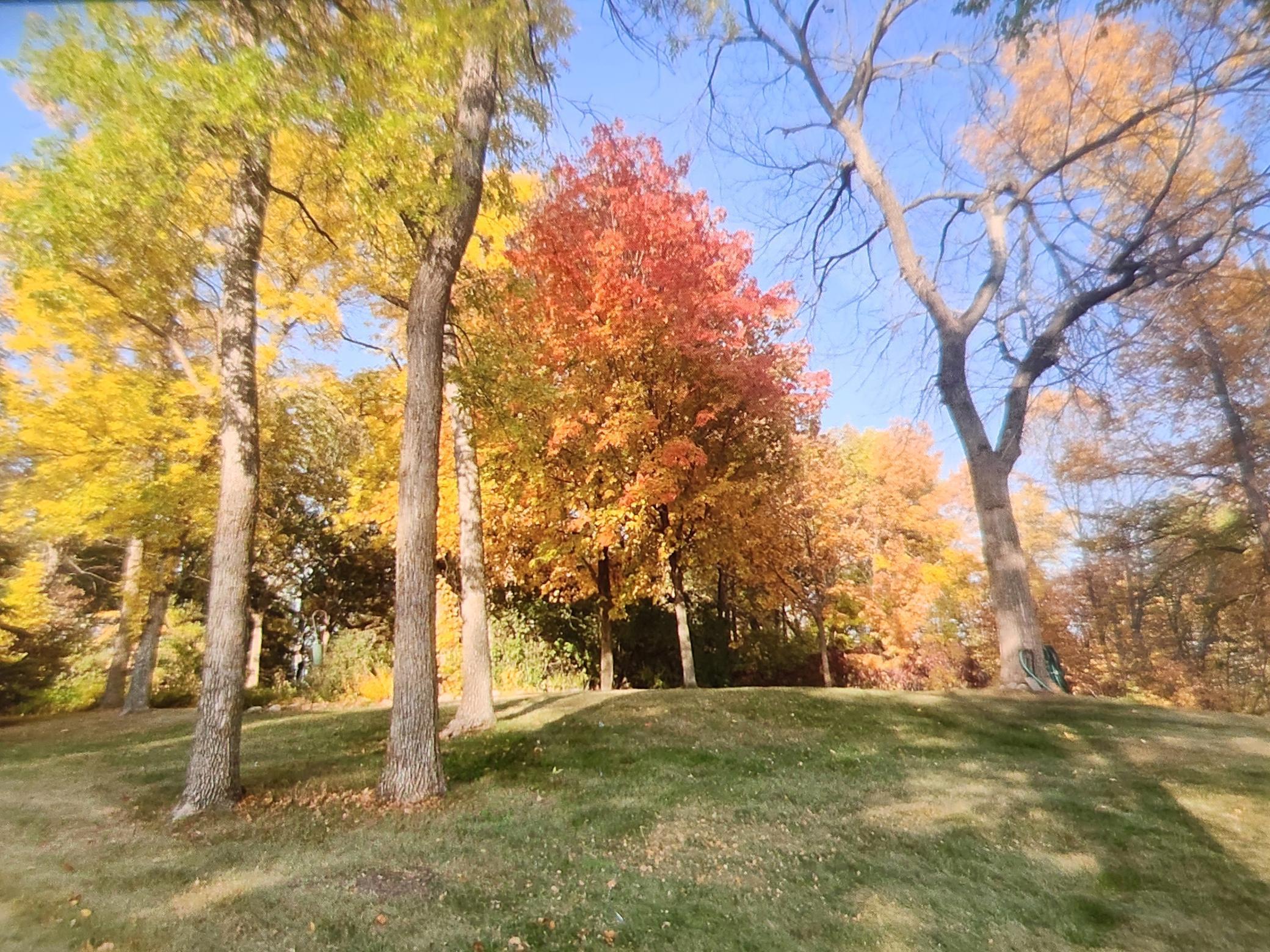 main property photo 41