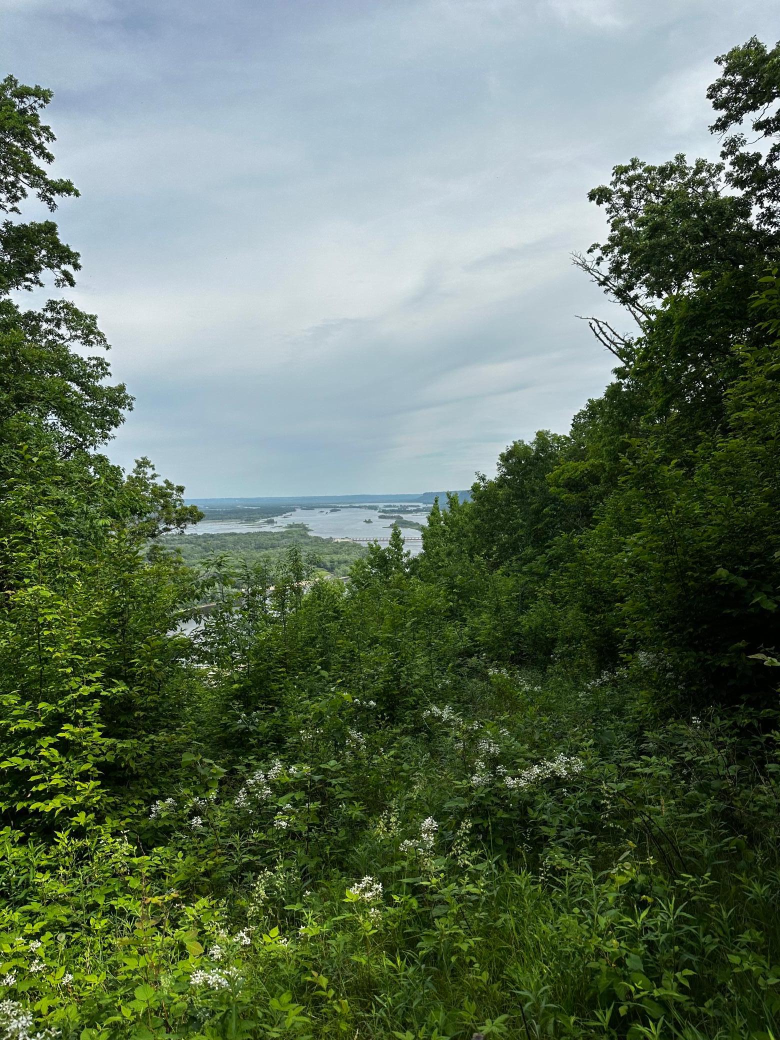 main property photo 33