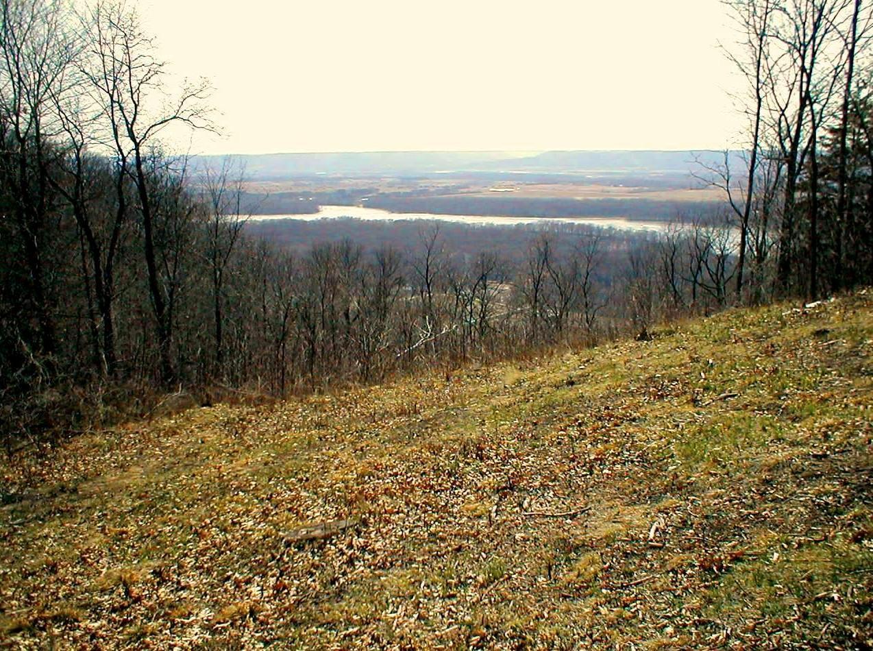 main property photo 9