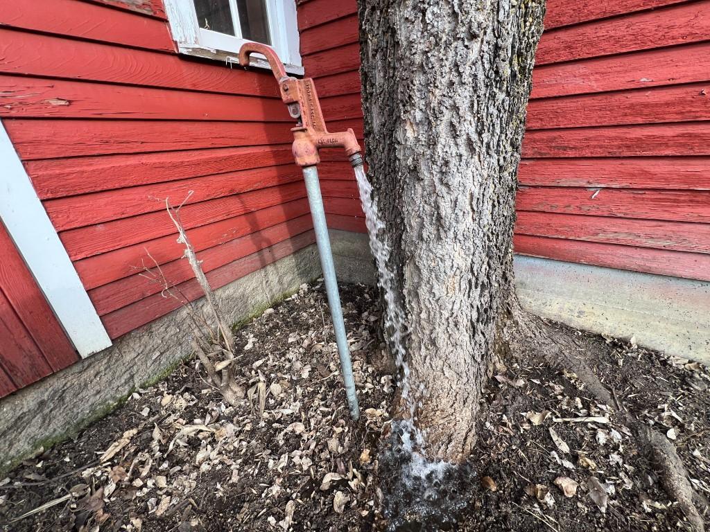 main property photo 18