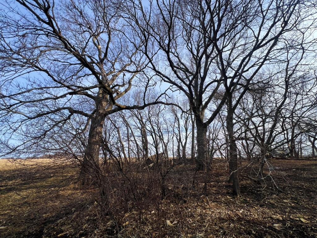 main property photo 29