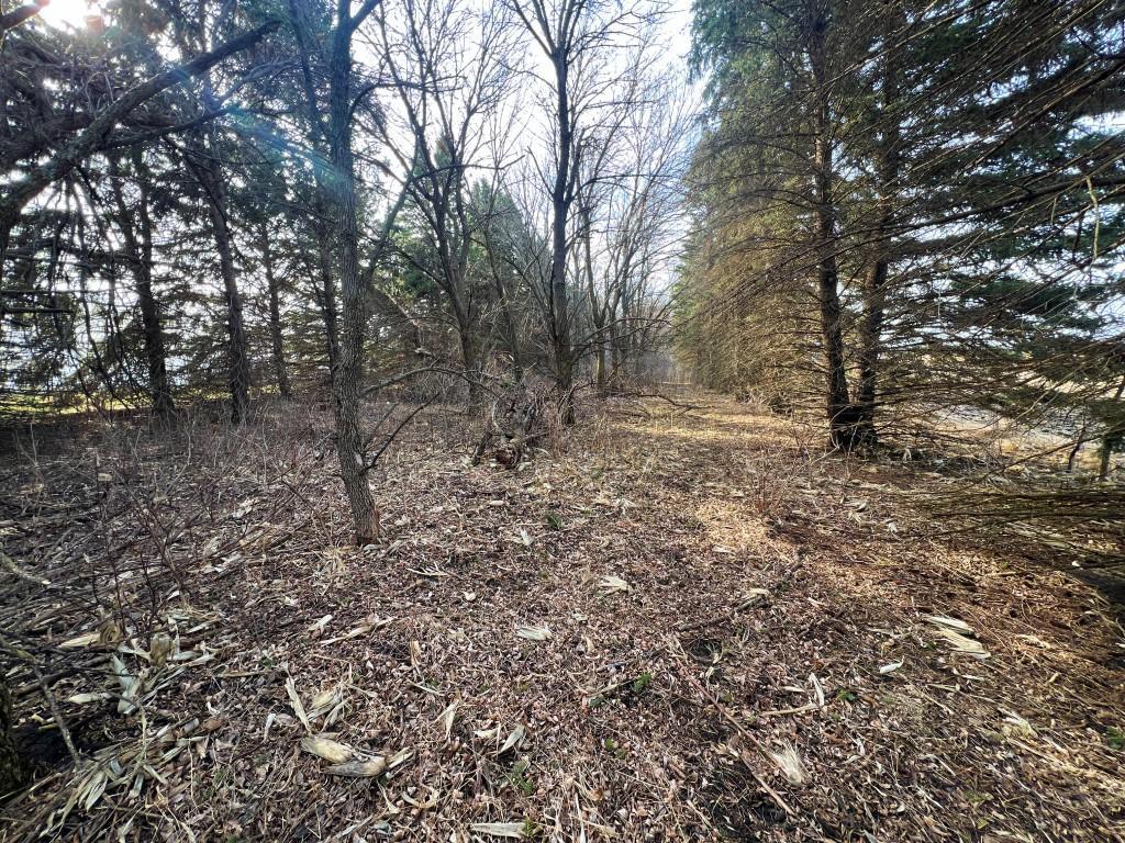 main property photo 31