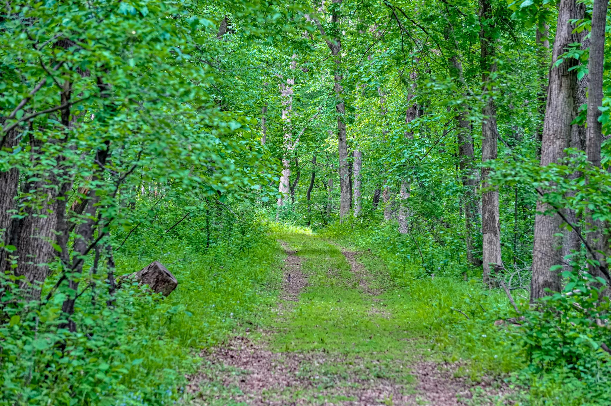 property viewer photo 31