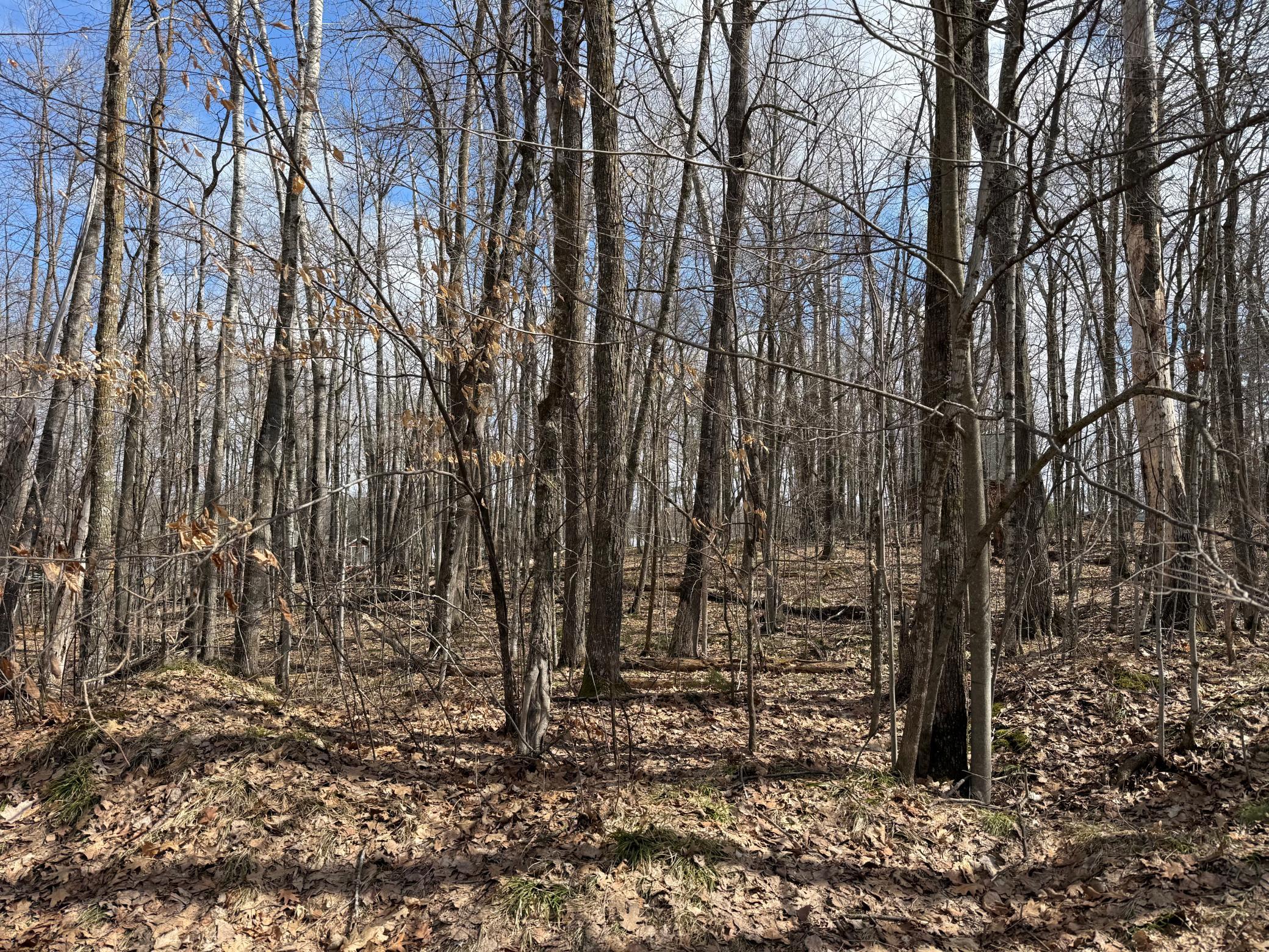 main property photo 26