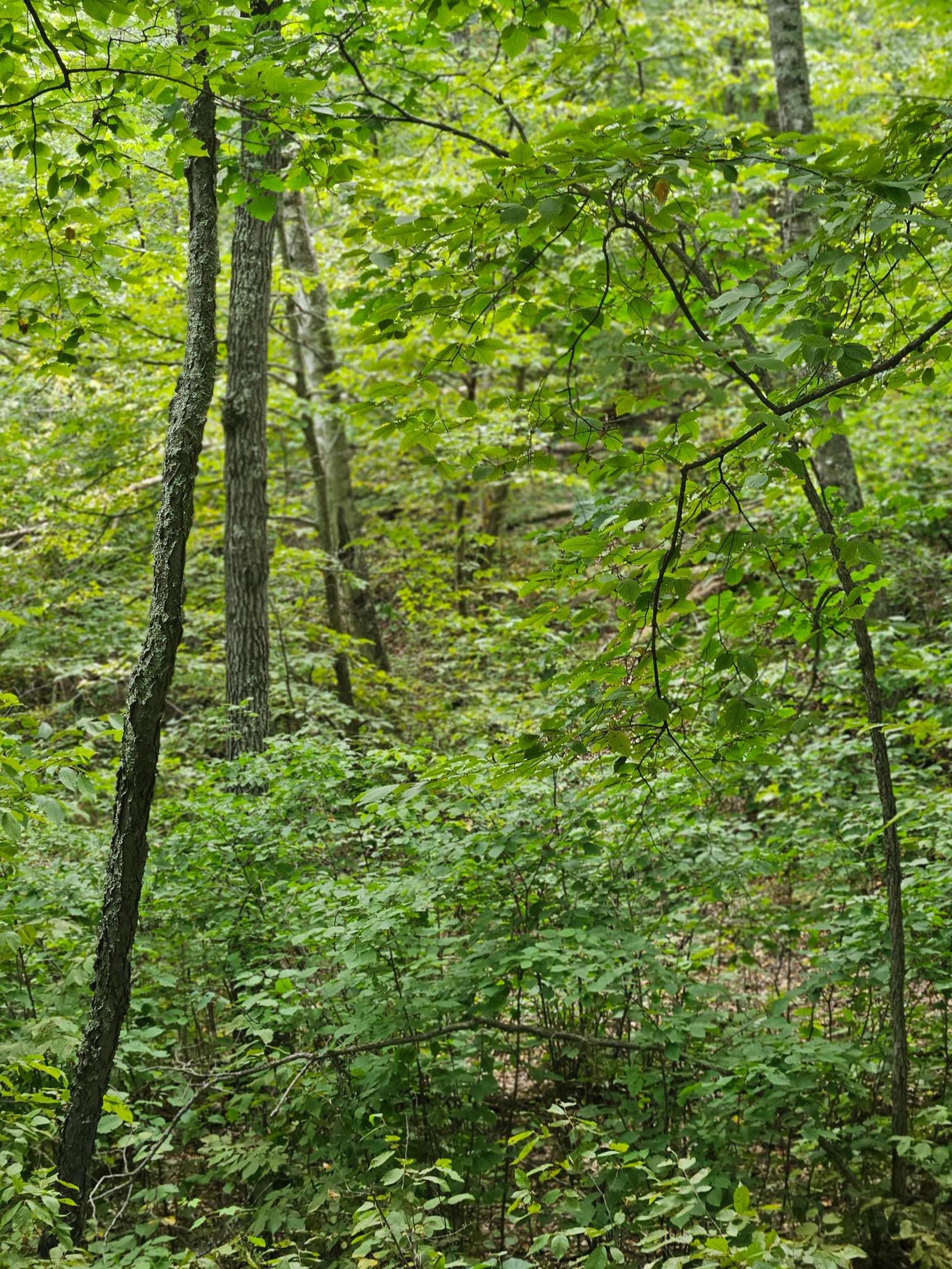 main property photo 11