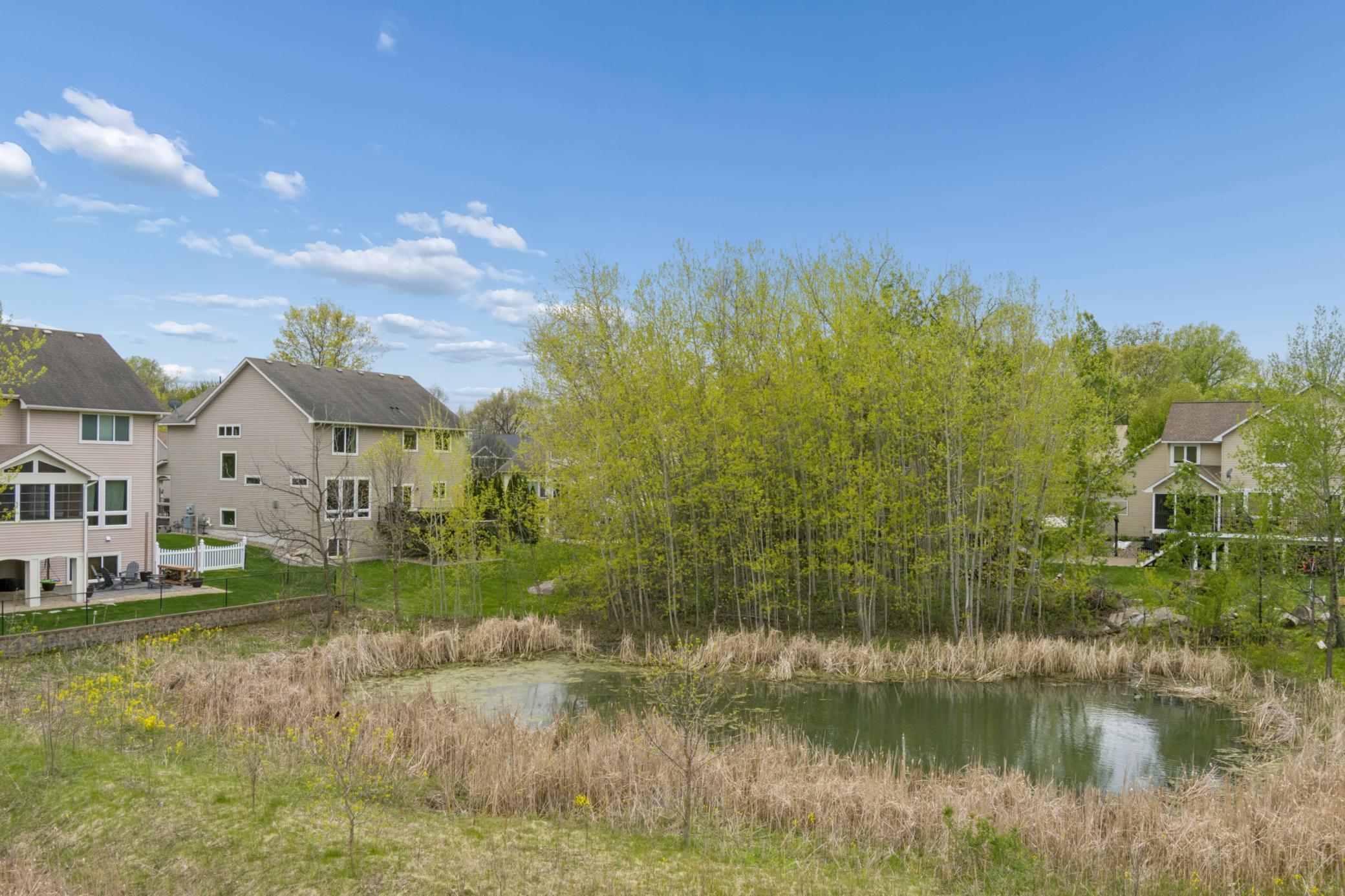 main property photo 59