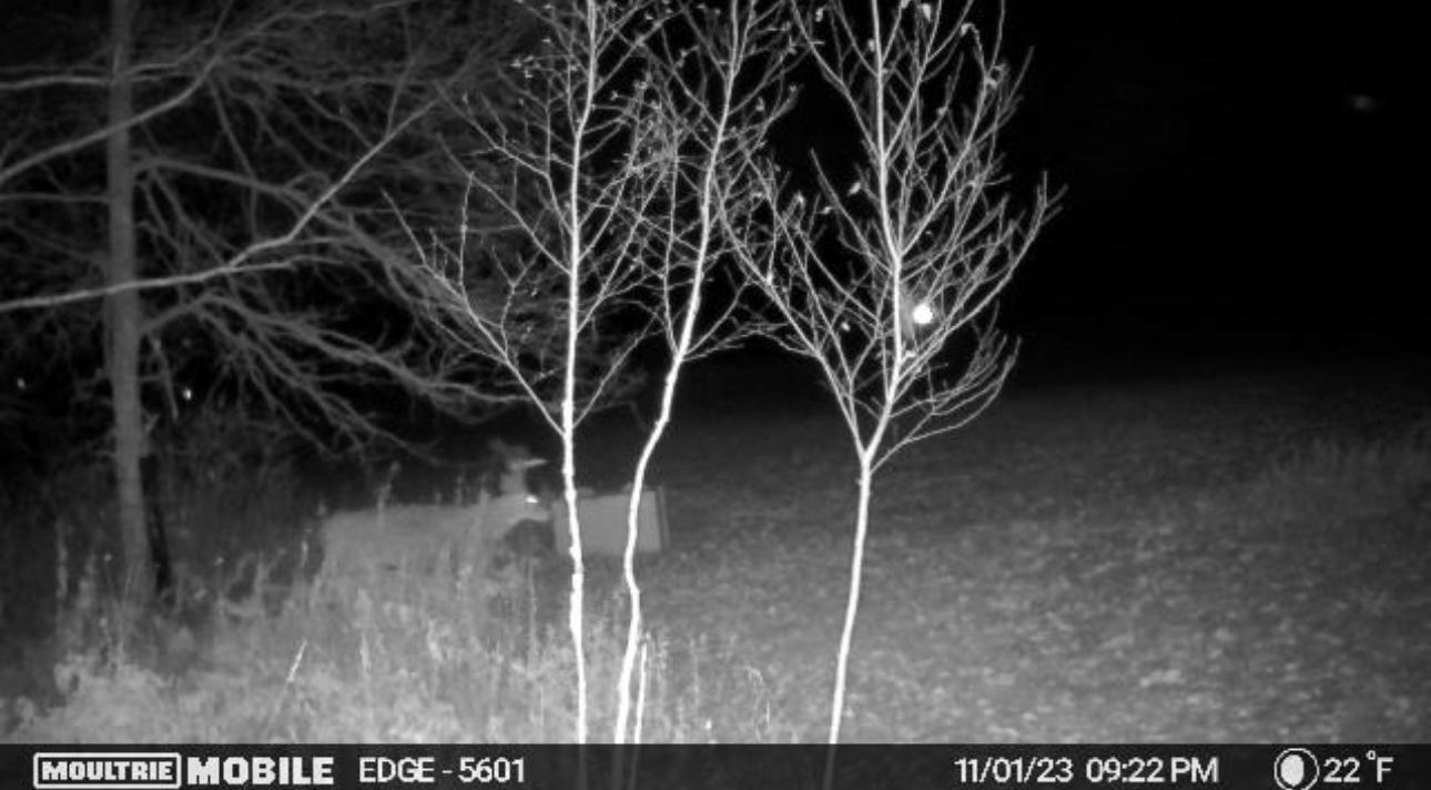 main property photo 24