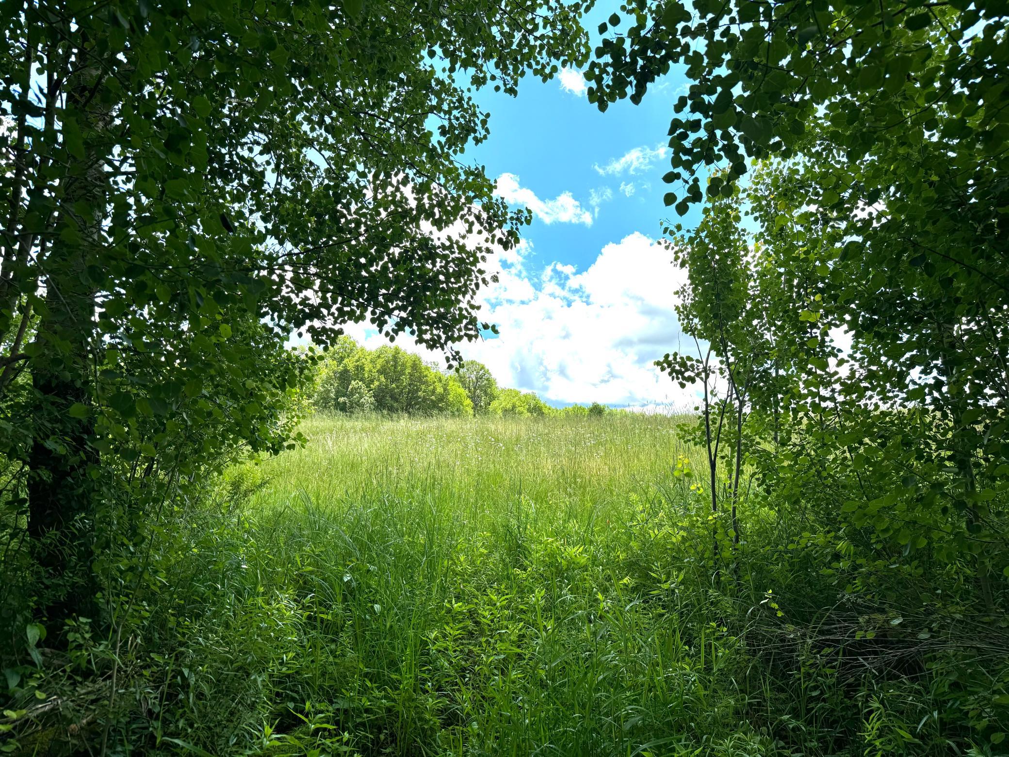 main property photo 51