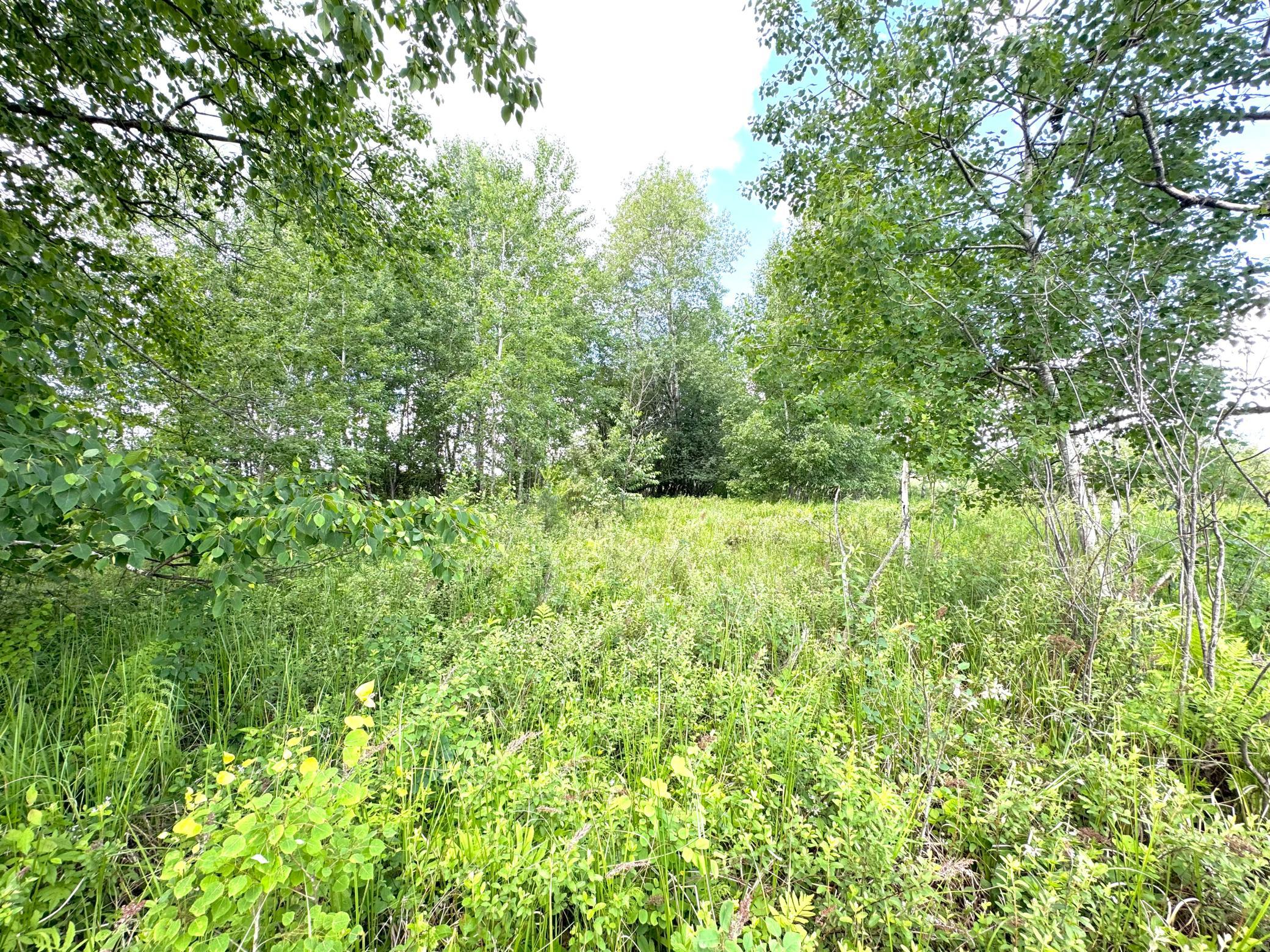 main property photo 52