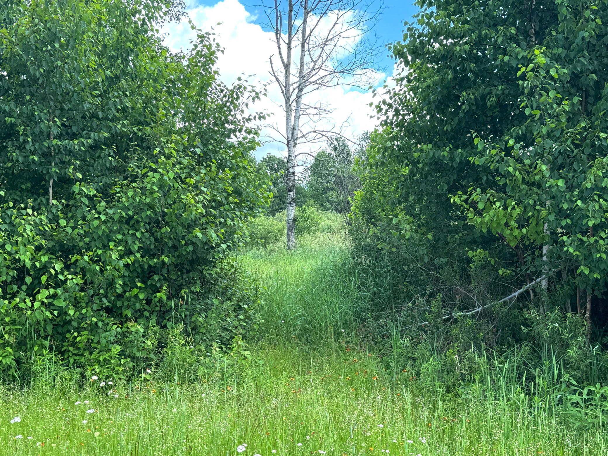 main property photo 54